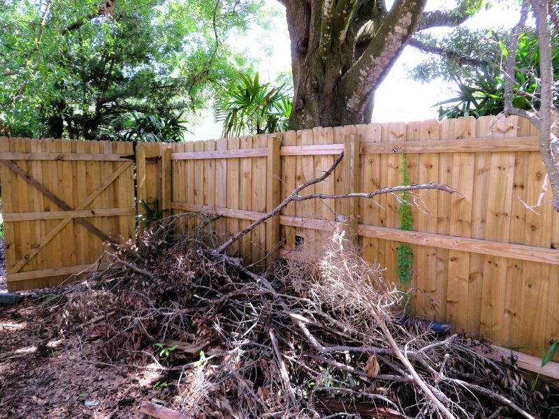 Fence Removal and Preparation