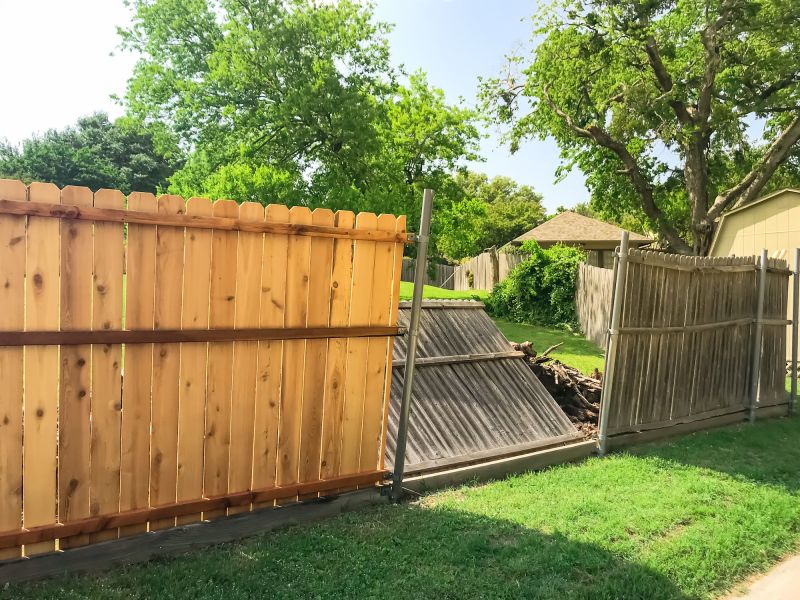Completed Fence Project 3
