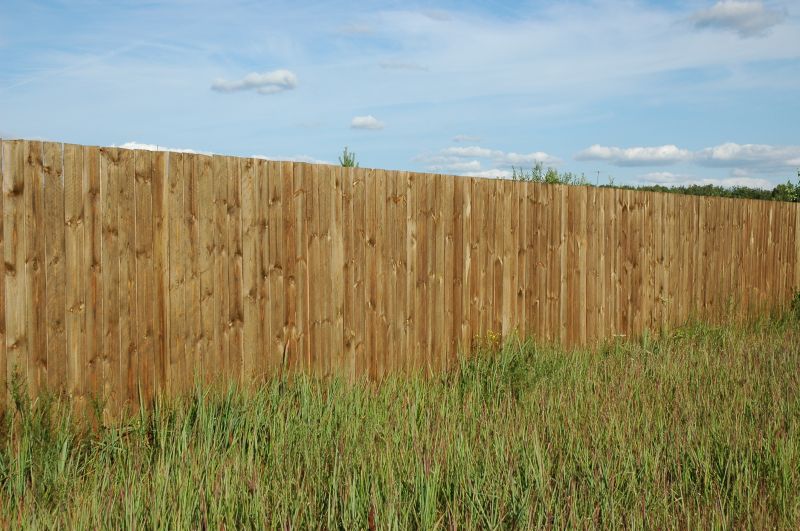 Pine Fence Installation in Pearland, TX